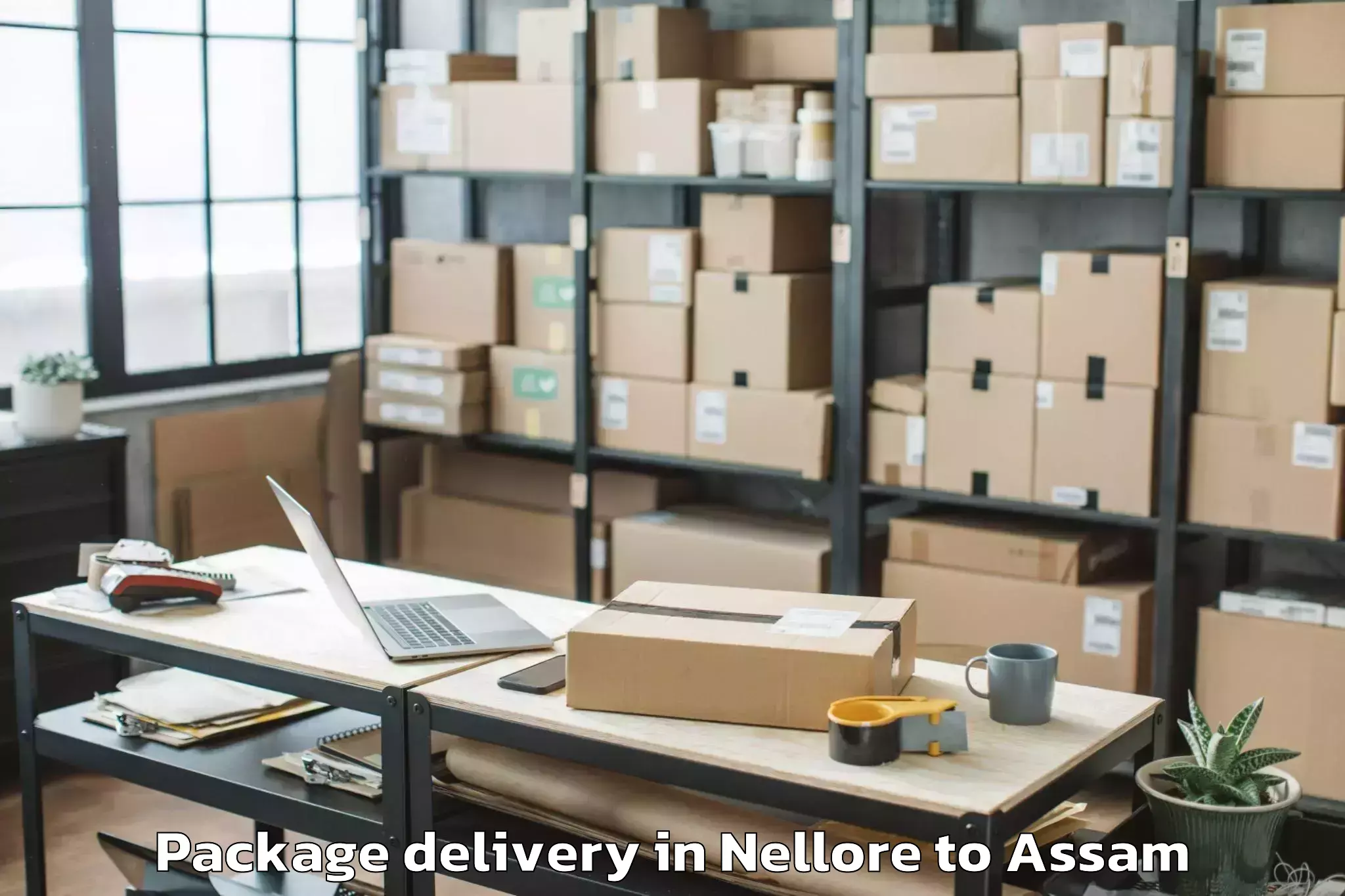 Reliable Nellore to Marigaon Package Delivery